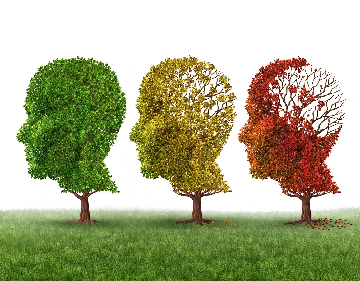 Supporting Parents Through Changes in Memory and Thinking