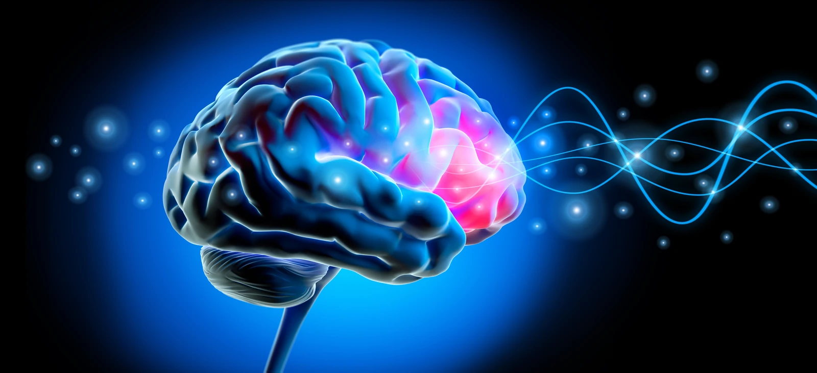 Illustration of a brain and neural connections