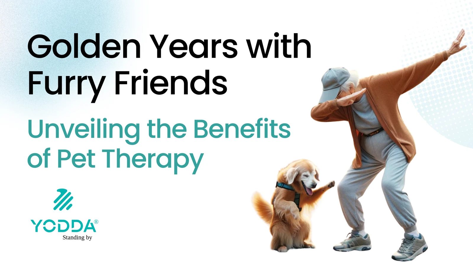 Animal Companionship and Pet Therapy for Elders
