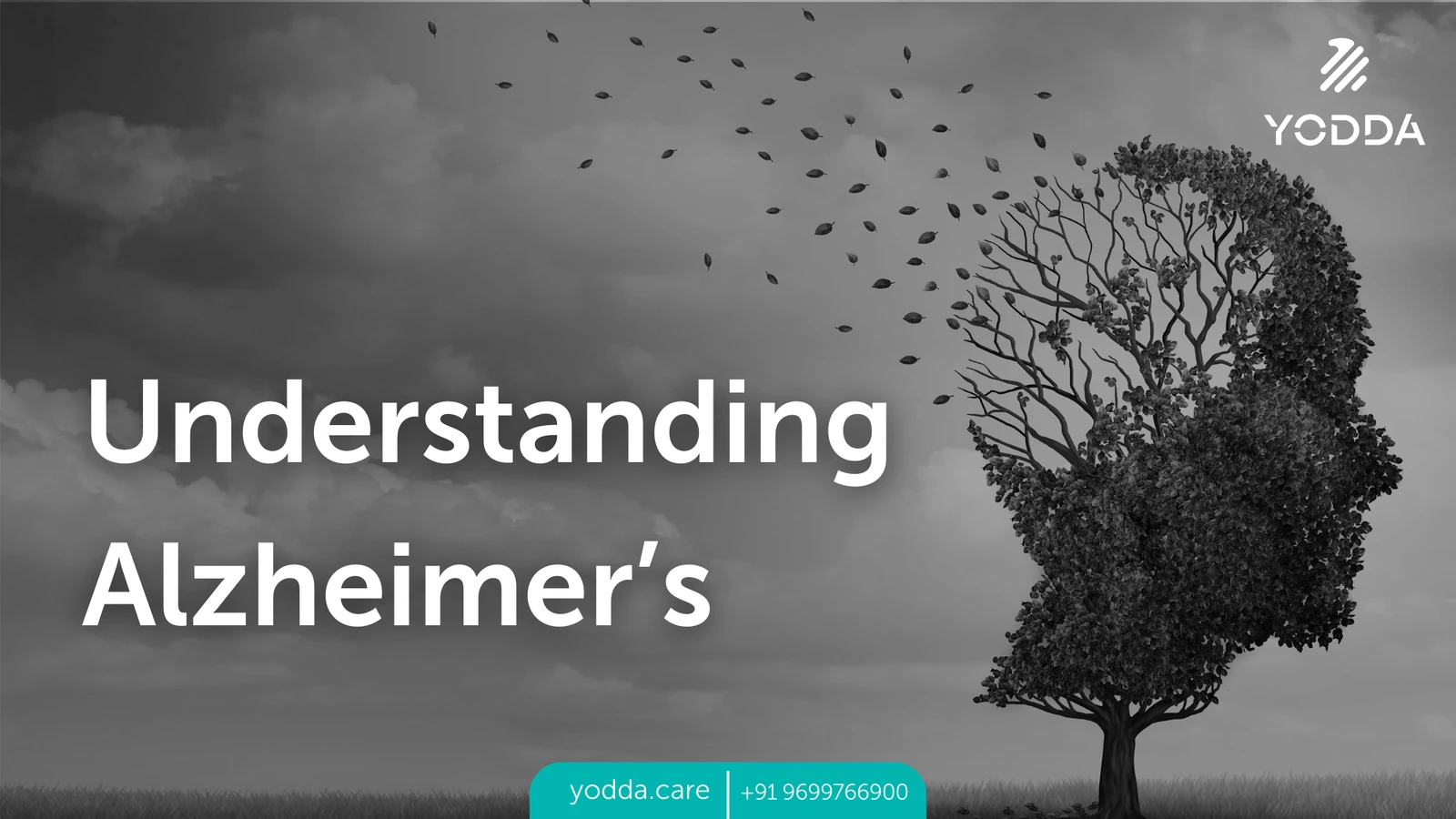 Alzheimer’s Disease: Supporting Confidence and Dignity